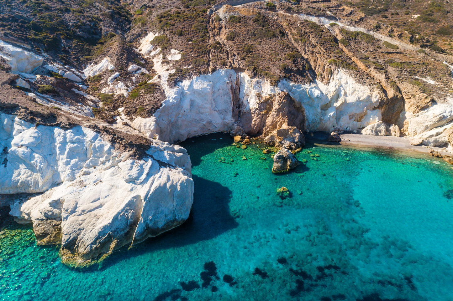 🧿 VIP Custom Trips